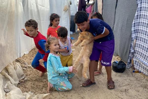 Children playing in a sandy area, with one child holding a cat, surrounded by makeshift tents.